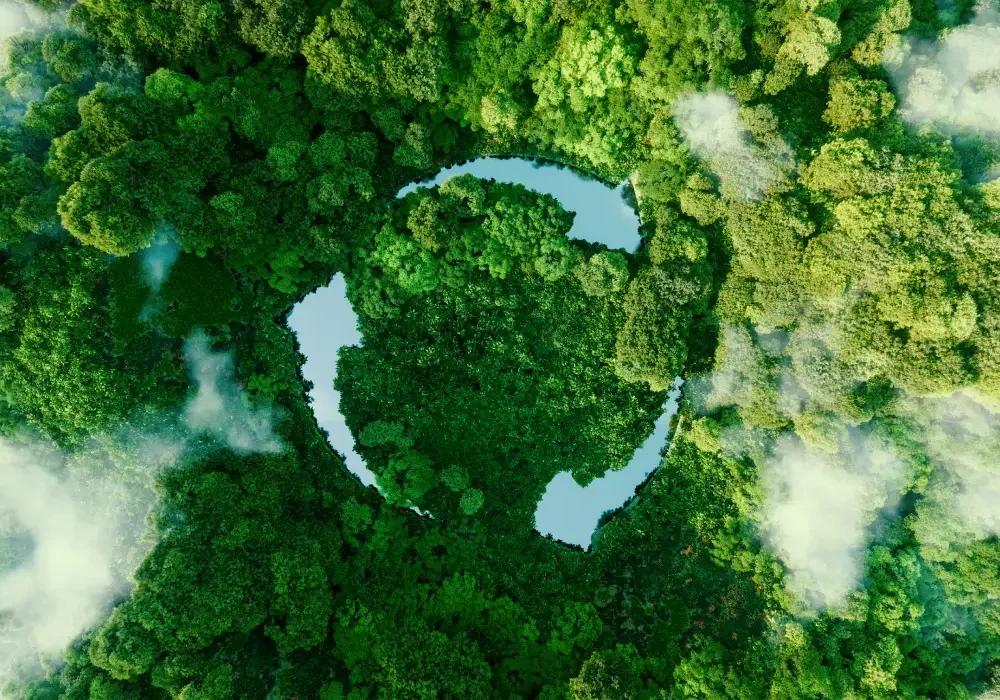 Section Image